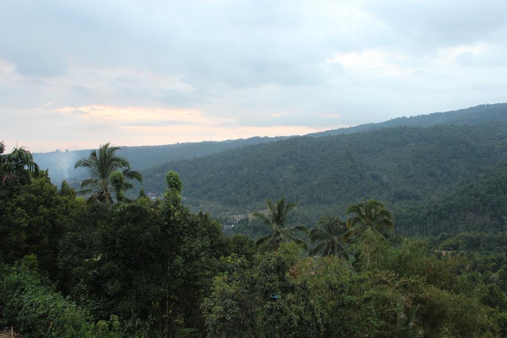 Maliana Homestay Munduk エクステリア 写真