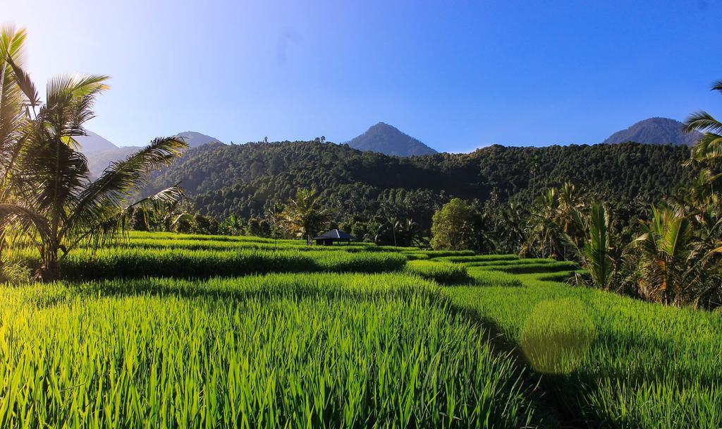 Maliana Homestay Munduk エクステリア 写真